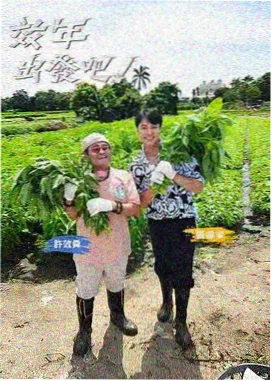 刀剑神域剧场版原声带盘点资讯图